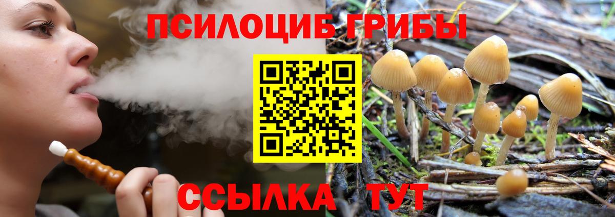 Псилоцибиновые грибы MAGIC MUSHROOMS Усть-Джегута