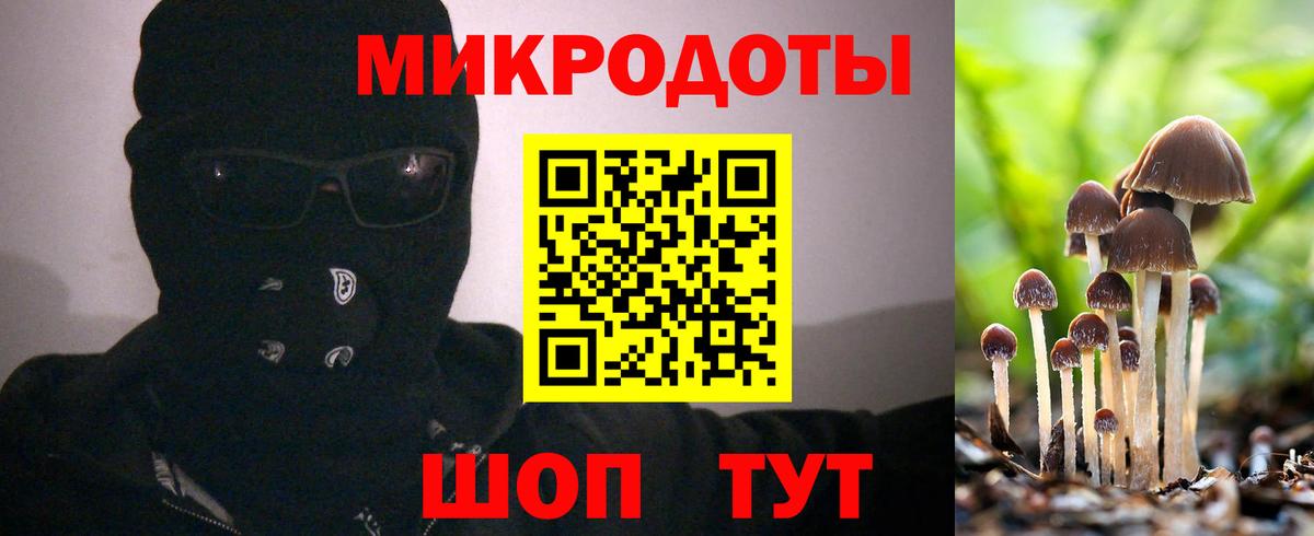 Усть-Джегута  Псилоцибиновые грибы Cubensis  Вход с VPN 